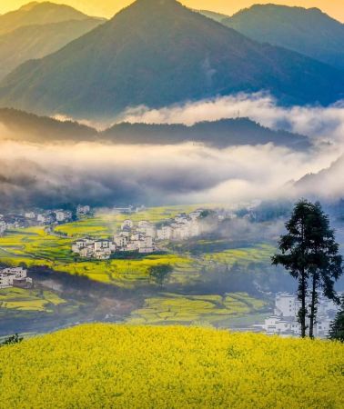6D5N • Ge's Fairy Village + Wangxian Valley + Wuyuan Huangling Scenic Area + Jingdezhen + Lushan National Park