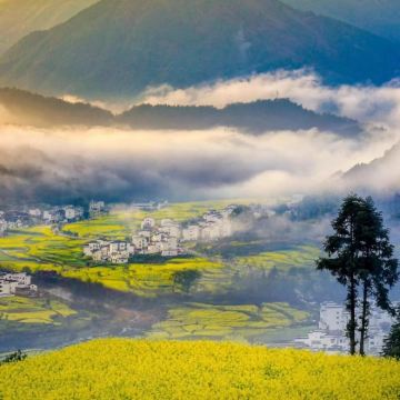 江西望仙谷+三清山风景区+婺女洲度假区+景德镇+婺源篁岭景区4日3晚自由行