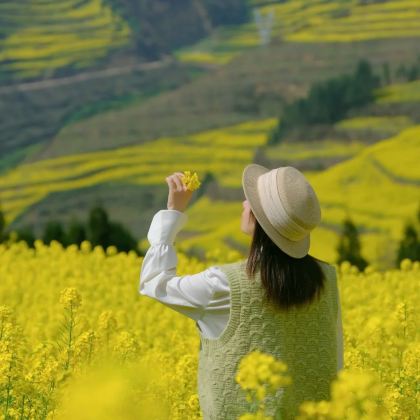 云南昆明+抚仙湖+建水古城+罗平油菜花景区6日5晚拼小团