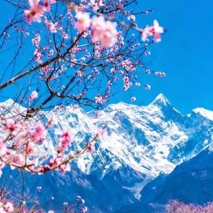 拉萨+布达拉宫+林芝+山南+纳木措景区8日7晚私家团