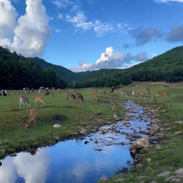 哈尔滨+伊春+五大连池风景区+齐齐哈尔6日5晚私家团