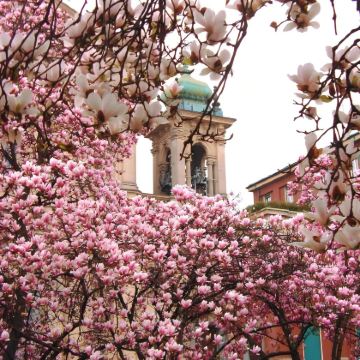 意大利9日8晚拼小团