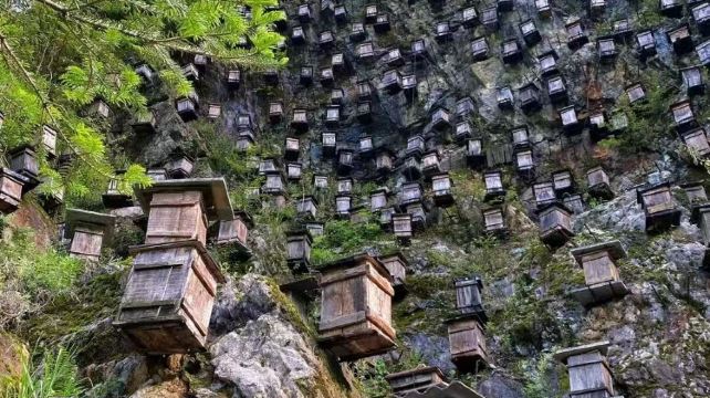 神农架、宜昌+7