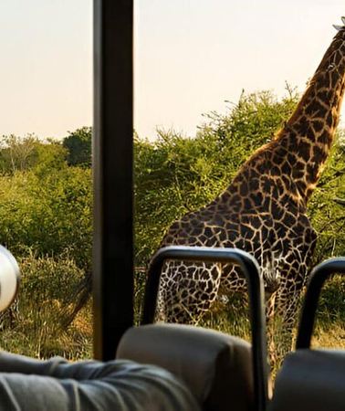 4D3N • 4 Day Kruger Glamping Safari and Panorama Tour