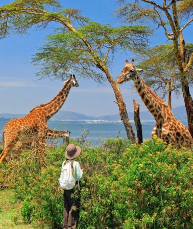 4D3N • Consult  service for  customized itinerary planning & In-depth Safari to track wildlife in Kenya ' s Masai Mara National Reserve