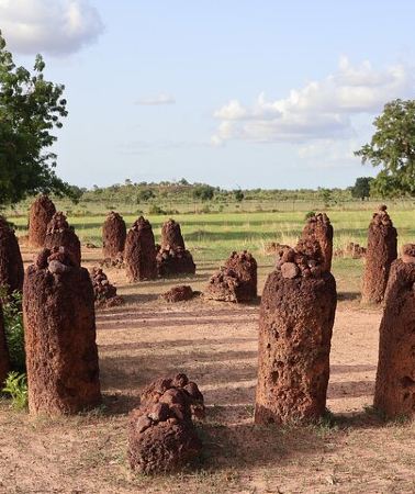 2D1N • 2 Days Cultural Tour of Georgetown and Gambia's River Region
