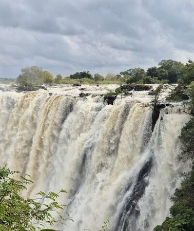 5D4N • Shared 5 Day 4WD Livingstone Safari Tour