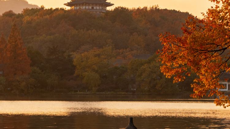 11-Day Shanghai, Hangzhou, Suzhou, Wuzhen, Jingdezhen, Wangxian Valley, Huangshan , Hongcun, Xixinan · 3 Intangible Cultural Heritage Experiences · Airport Transfer Upgrade · Complimentary Michelin Dining