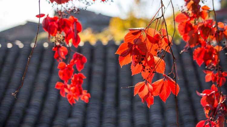 5-Day Simatai Great Wall & W Town hidden in Beijing luxury tour: The Palace Museum + Temple of Heaven + Summer Palace