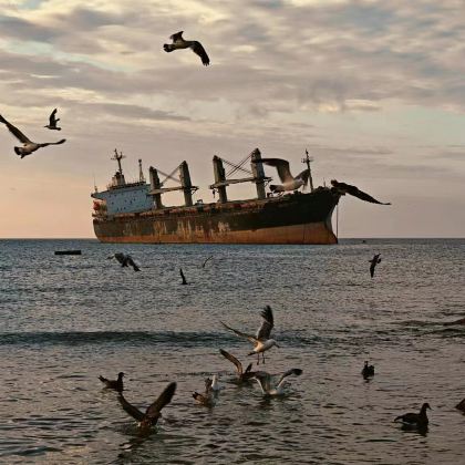 威海火炬八街+天鹅湖+布鲁维斯号+海草房+大相框+那香海