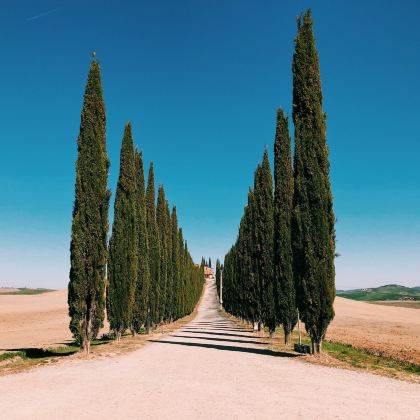 意大利托斯卡纳奥尔维耶托一日游托斯卡纳田园风光精华/罗马往返