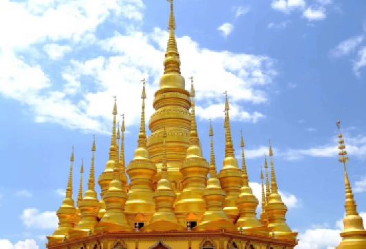 西双版纳勐泐文化旅游区+曼听御花园+西双版纳总佛寺一日游【[私人专享]：小包团，拼团市区轻松游玩】