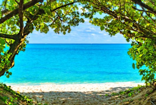 冲绳中北部巴士一日游：美丽海水族馆+古宇利岛+万座毛+美国村【不满3岁免费参加；每人可免费携带一件行李，尺寸不限，如有携带以上需提前告知】