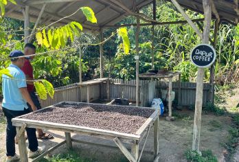 民丹岛咖啡种植园和蜜蜂农场 + 迷你沙漠和蓝湖之旅（含酒店接送）【探索民丹岛迷你沙漠与蓝湖，感受沙海奇景与碧水蓝天的完美融合，开启一场独特的自然之旅！ 在桑吉特咖啡种植园体验咖啡与蜂蜜制作过程，品尝香浓咖啡和纯蜂蜜，悠享宁静自然。 立即预订，与我们一起畅游民丹岛，开启难忘之旅！】