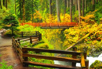 美国西雅图奥林匹克国家公园一日游【巴士团/12人团】【搭乘渡轮离岛往返西雅图，沿途欣赏宁静的海岸线和岛上自然风光】