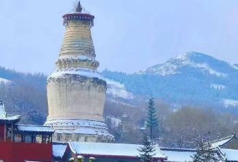 山西五台山一日游【太原/忻州出发+车型任选+上门接送】【车型任选，上门接送】