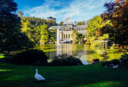 西班牙马德里-从马德里到埃尔埃斯科里亚尔一日游【感受马德里的世界文化遗产、修道院、王室陵墓、壮观建筑】
