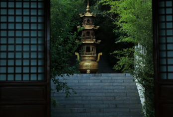 徐州汉文化景区【寻觅两汉文化|1.5小时精致讲解丨私家小团】【专业讲师，1.5小时深度解说，把历史故事说给您听，讲解重点不虚此。】