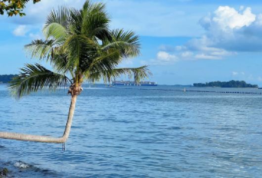 新加坡市区包车一日游-圣淘沙岛之旅-可多日包车-精选【包车一日游，解锁旅行新方式！独立车辆配备经验丰富的老司机，为您量身打造专属行程。】
