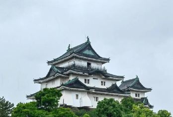 日本大阪+和歌山白滨温泉+三段壁一日游/行程可调-可定制多日【包车一日游，解锁旅行新方式！独立车辆配备经验丰富的老司机，为您量身打造专属行程。】