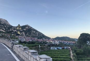 崂山风景区仰口+太清一日游/双成人/新312【醉美环海公路，打卡网红青山渔村，感受独特的崂山沿海超美景色体验。】