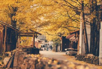 腾冲火山公园+银杏村+北海湿地纯玩一日游【2-6人精品小团】【[精致行程]经典热销线路/自然醒出门/半自由舒适行】