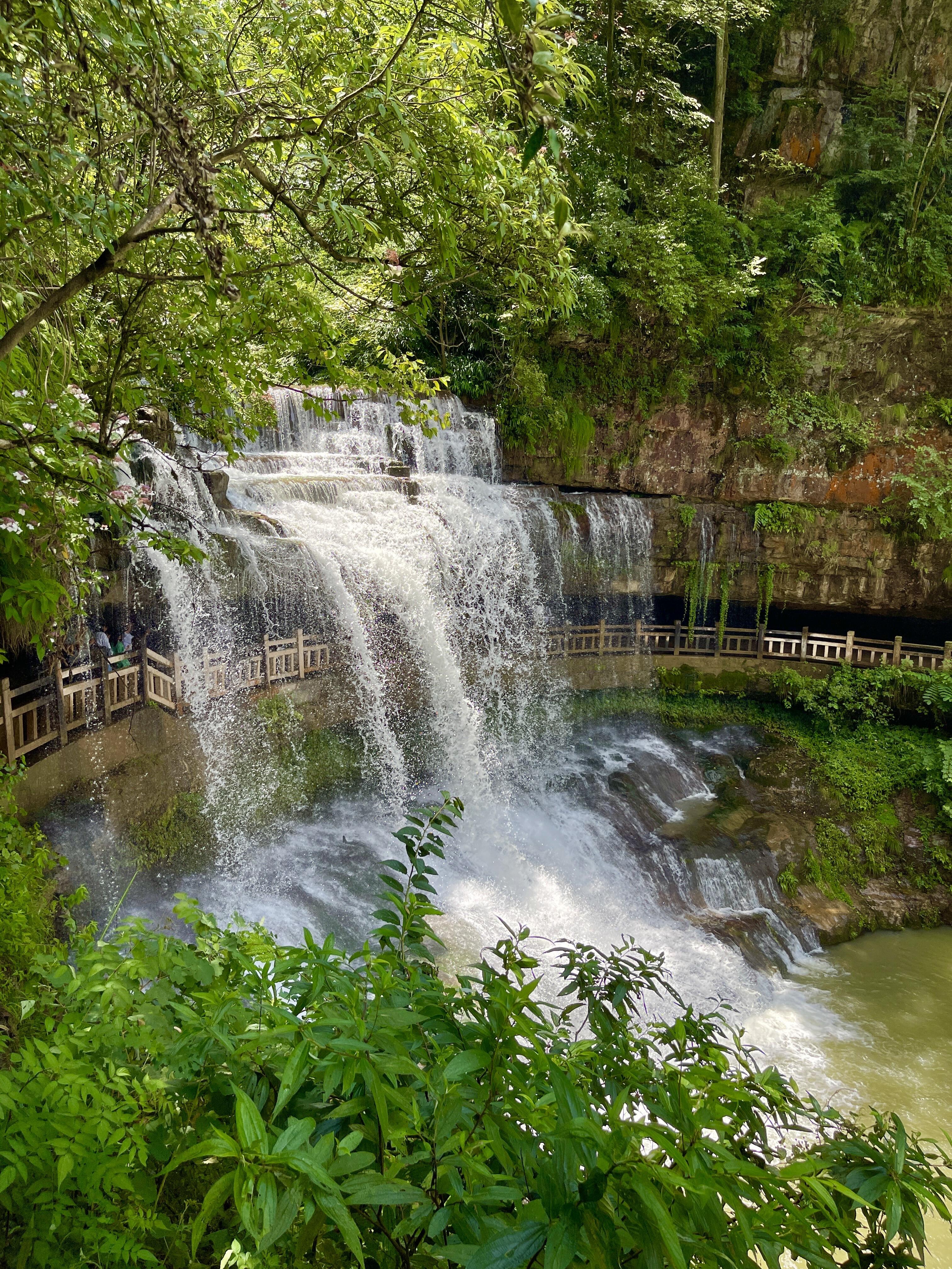 云南昭通古城+黄连河+大山包黑颈鹤自然保护区一日游中英文服务