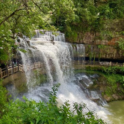 云南昭通古城+黄连河+大山包黑颈鹤自然保护区一日游中英文服务