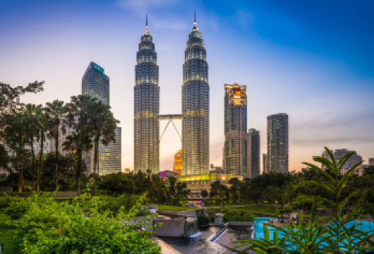 吉隆坡半日游【在标志性的吉隆坡双子塔拍摄令人惊叹的照片 探索吉隆坡融合历史、文化和现代地标的魅力 非常适合想要全面了解这座城市的初次游客，出发时间灵活，上午或下午均可。】