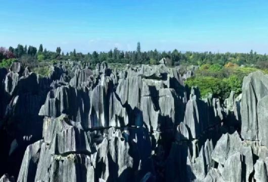 石林一日包车游  【专业服务：从事旅游行业10余年的领队兼司机带队，驾龄10年以上】