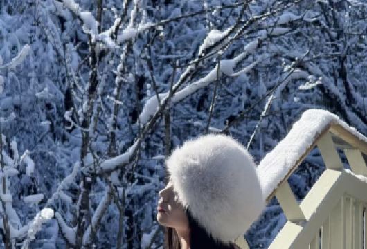 海螺沟成都周边一日游【云海景观&天然温泉&天然氧吧】