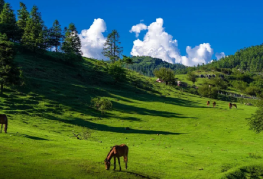 重庆武隆仙女山一日游【8人小团】仙女山+天生三桥+龙水峡地缝【2-8 人精品小团：拒绝拥挤大团，人均享有充足空间与优质服务，成团灵活不等待，亲友同行更自在。】