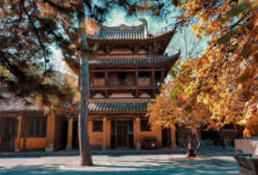 忻州/太原起止·2-8人拼小团-佛光寺+南禅寺1日游商务车【[精致小团]2-8人拼小团，舒适出行保证商务车免费上门接送】