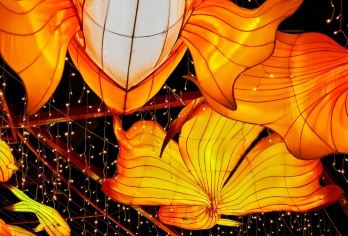 珠海包车9小时一日游|打卡唐家古镇+梅溪牌坊+北山村+淇澳岛【专车一日内无缝衔接，遍览古镇、侨村、牌坊与文艺村落，领略多元风貌】