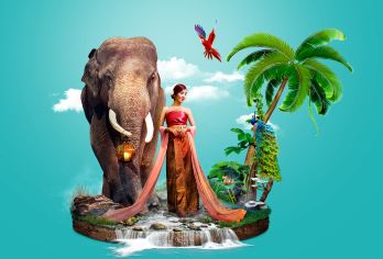 西双版纳植物园+傣族园一日游【纯玩专线+深度游玩植物王国】【[品质保障]豪华旅游大巴，真皮座椅空间大，正规运营资质，保证一人一座位。】