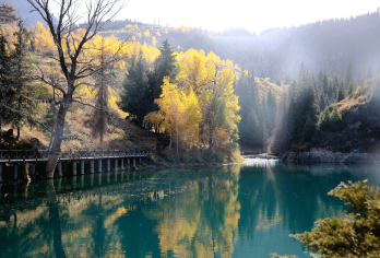 乌鲁木齐•天山天池半日游【8人小团上门接 | 可选早午班】【1，达人带队，精选线路，深度体验，创新玩法，贴心管家，摄影帮手，路上美景随走随停！】