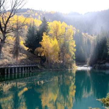 【8人小团 | 可选早午班】乌鲁木齐•天山天池半日游