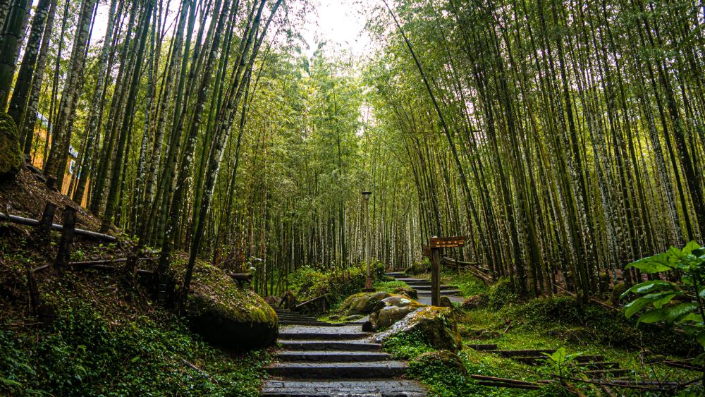 杉林溪森林生态渡假园区+溪头妖怪村一日游【限时优惠】线路推荐【携程玩乐】