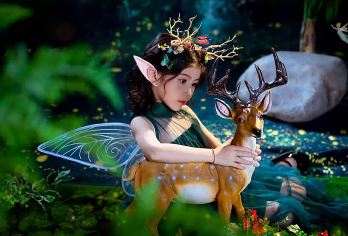 张家界国家森林公园一日游 入园+环保车VIP快速通道【[独有服务]含景区VIP服务，享受快速入园+6大环保车快速通道，减少排队时间，充足8小时深度纯玩】