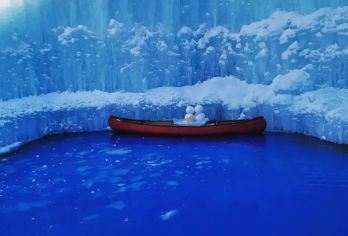 日本札幌往返室兰地球岬-可札幌登别富良野美瑛北海道包车-精选【包车一日游，解锁旅行新方式！独立车辆配备经验丰富的老司机，为您量身打造专属行程。】