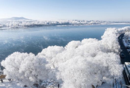 吉林市阿什小雾凇岛一日游【1-6人小团出行/市区内上门接送】【1-6人小团出行，1人可订，避免大团人多等待麻烦】