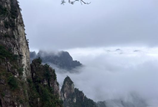 郴州莽山五指峰小团纯玩一日游｜含大门票 往返索道 上门接送【[特别提醒]天天发班，一座不用爬的山，夏观云海，冬赏雾凇，一栏南岭山脉风姿。】