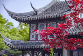 【上海包车游】十全街+留园+周庄+【晚清古典园林】【全程私人专车服务，不拼团，行程灵活可调整。】