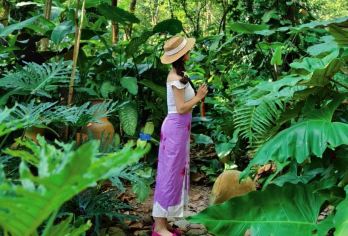 中科院西双版纳热带植物园+傣族园一日游【2-6人团/晚出发】【[服务升级]专属司机多年安全零事故，24小时管家客服服务，小团出行，人少更轻松】