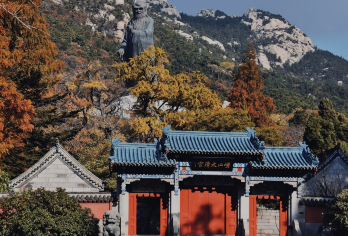 【5天4晚】山海全览・趣享青岛 —— 极地萌趣与崂山风光【核心体验全覆盖，满足多元游玩需求】