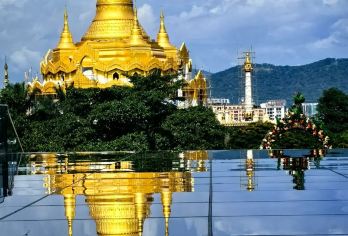 西双版纳打洛镇+独树成林+勐景来一日游【独立成团+打卡国门】【市区酒店上门接送，悠闲畅玩，】