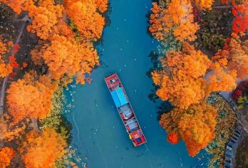 皖南川藏线秋季限定！红杉林+宣纸文化园【2-6人精致小团】【秋日玩法：落羽红杉林竹筏体验&漫步林间栈道】