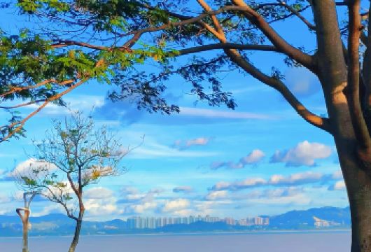 深圳一日游｜私家小团专车，解锁科技、艺术与海岸线，打卡地标【在每个景点的停留时间可根据您的兴趣灵活调整，充分享受自由。这次旅行，不仅是看风景，更是听故事、品文化】