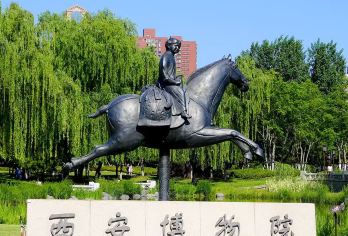 西安博物院+小雁塔大咖深度讲解 纯玩 门票+人工讲解  【品质出游】