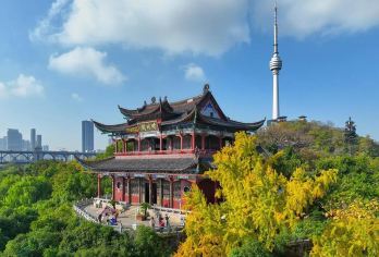 【包车游私家团】晴川阁+古琴台+古德寺+黎黄陂路一日游【独立包车出行，游玩自由，行程可调】